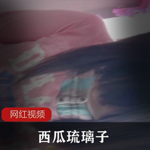 西瓜《琉璃子》“天价学生”全集