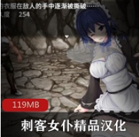 （安卓）RPG蕾姆手游刺客女仆