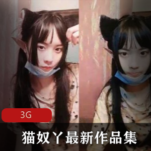 猫奴的完美作业合集:精品全系列,让你爱上猫咪!