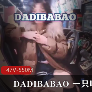 DADIBABAO,尽享精品资源