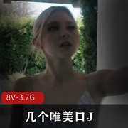 唯美J-8V-3.7G口