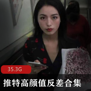 推特高颜值反差合集第二波：绅士资源美女35.3G大合集