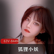 狐狸小妖私拍高清视频合集，欲罢不能的美女粉嫩身姿