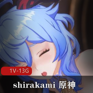 姐姐风采：原神&崩坏三作品合集4K60FPS