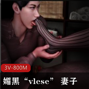 3V-800M系列:黑R开C,3D动画丝袜视频