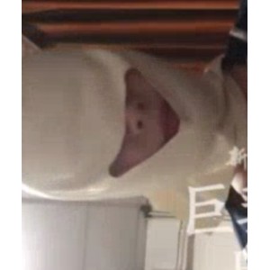 惊艳大罩杯美女全集：小明带你走遍中国