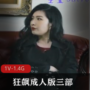 大人版狂飙三部3V2.8G