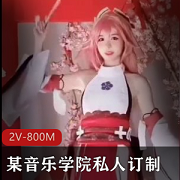 私人订制AI音乐学院主播T衣10V1.4G