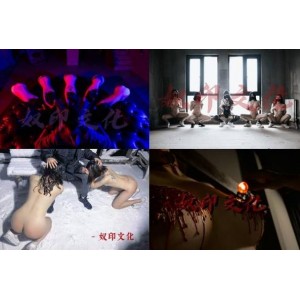 的团队-奴印文化，展现出了令人惊叹的S-M文化，让人眼前一亮。