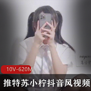 苏小柠推特网红视频集：抖音风妹子弹力摇boomshakalaka，10段视频总620兆，身材玩具搭配，活力满满