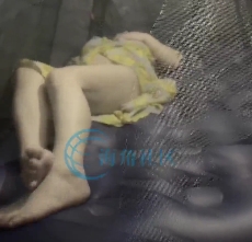 海角姐姐fengrufeitun合集4V720M百度盘自行打包