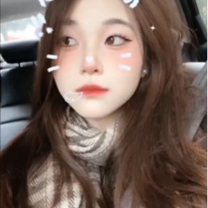 转载百度云泄密欠网贷可爱美女李菲婷最新合集1V18P392M，三人游与金主的秘密文件