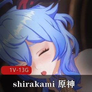 shirakami原神(崩坏三)作品合集整合14K60FPS[1V13G]，角色精彩纷呈，尽享原神魅力