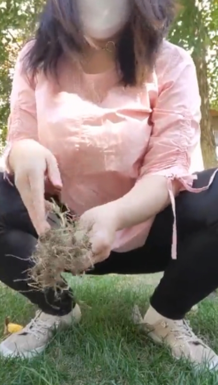 百度柏欣彤风情万种熟女广场舞合集57G收藏