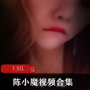 魔女陈小魔独家黑丝88部1.5G限量版