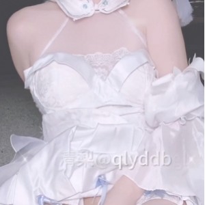 清梨优质私拍推特视频2部1G