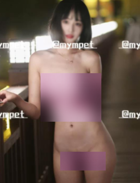 推特mympet合集133部3.6G顶级私享