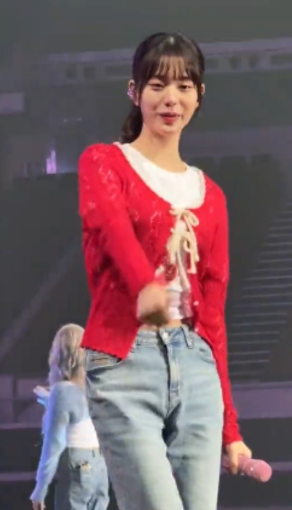 粉丝视频合集张元英TikTok17部68.7MB太诱人